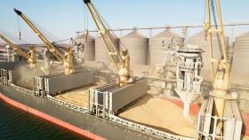 Зернин: экспорт зерновых ожидается на уровне 55-60 млн тонн